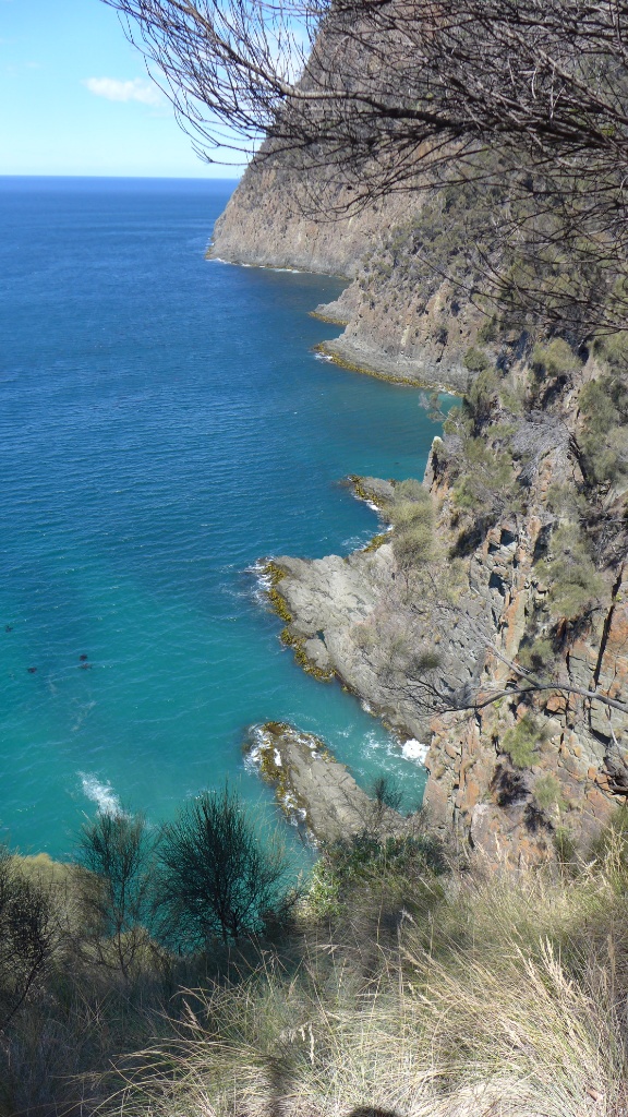 The fluted cape image