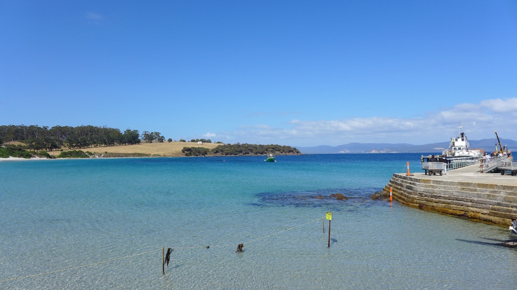 Ankunft auf Maria Island, unglaublich klares und türkisfarbenes Wasser image
