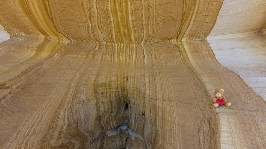 Auch Henry N. Brown ist begeistert image