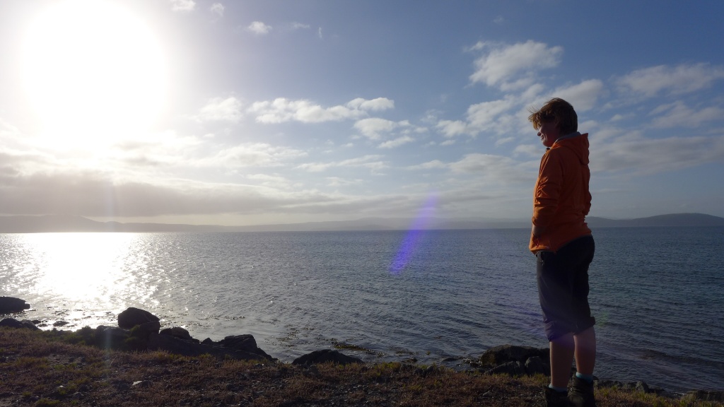 Wo sind die Wale??? image